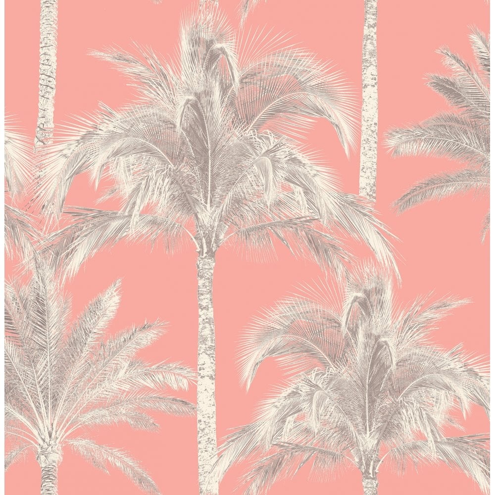 5 53075 Palm Tree   