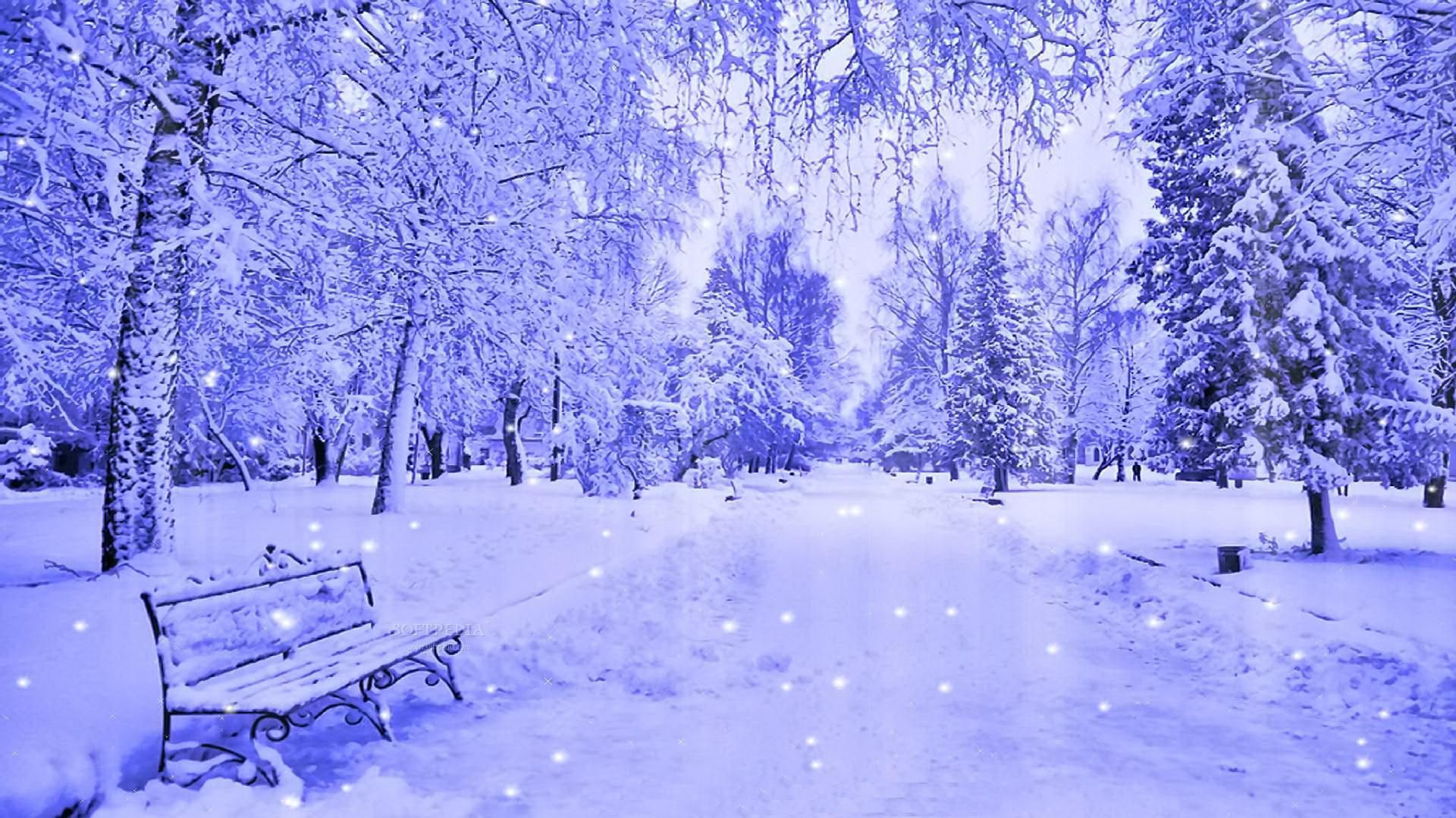 雪の壁紙 雪 冬 自然 青い 凍結 Wallpaperuse