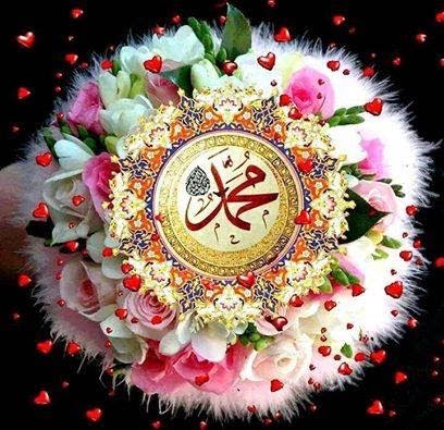nouveau fond d'écran islamique,amour,rose,fleur,plante,fleurs coupées