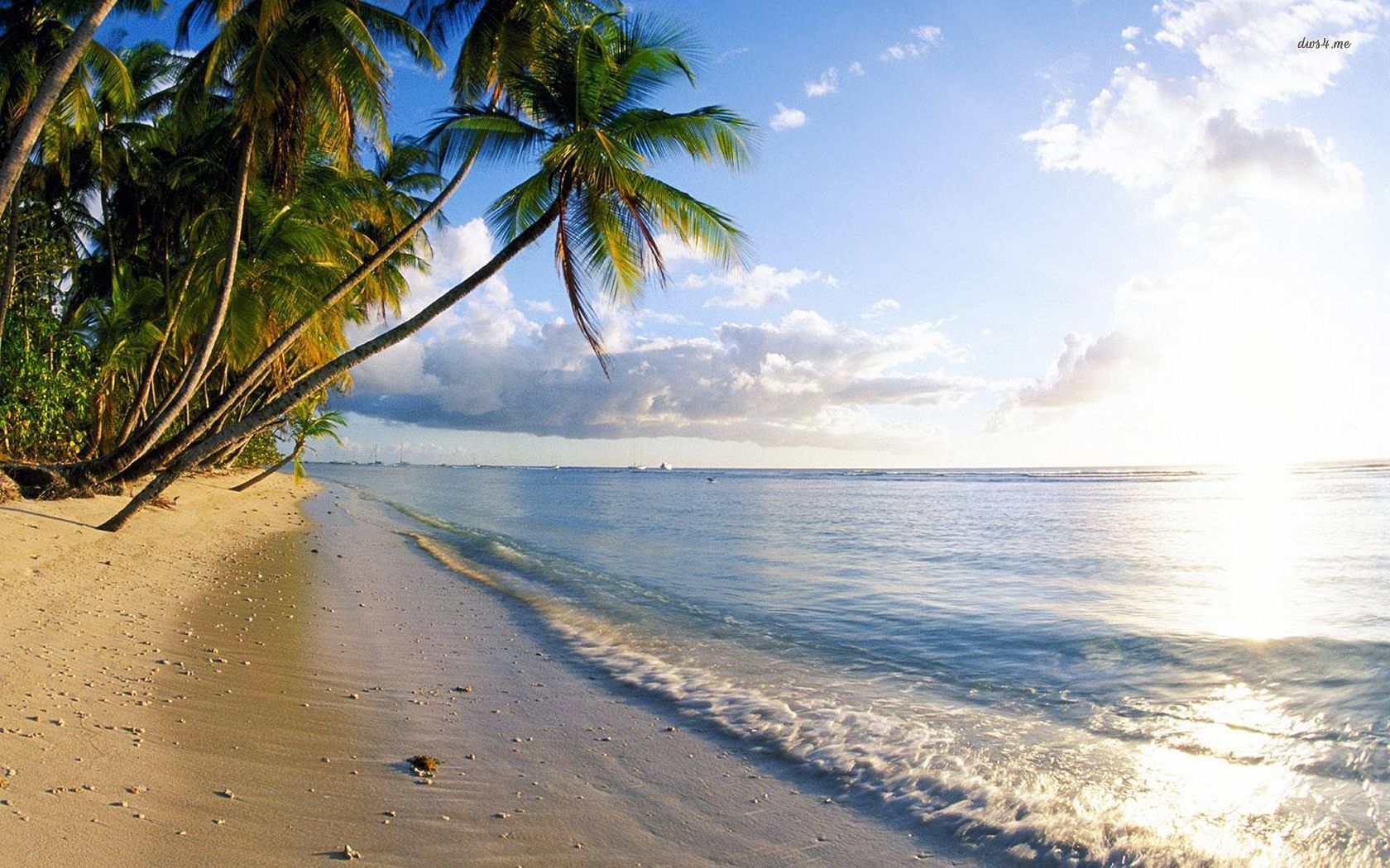 carta da parati trinidad,corpo d'acqua,cielo,natura,spiaggia,albero
