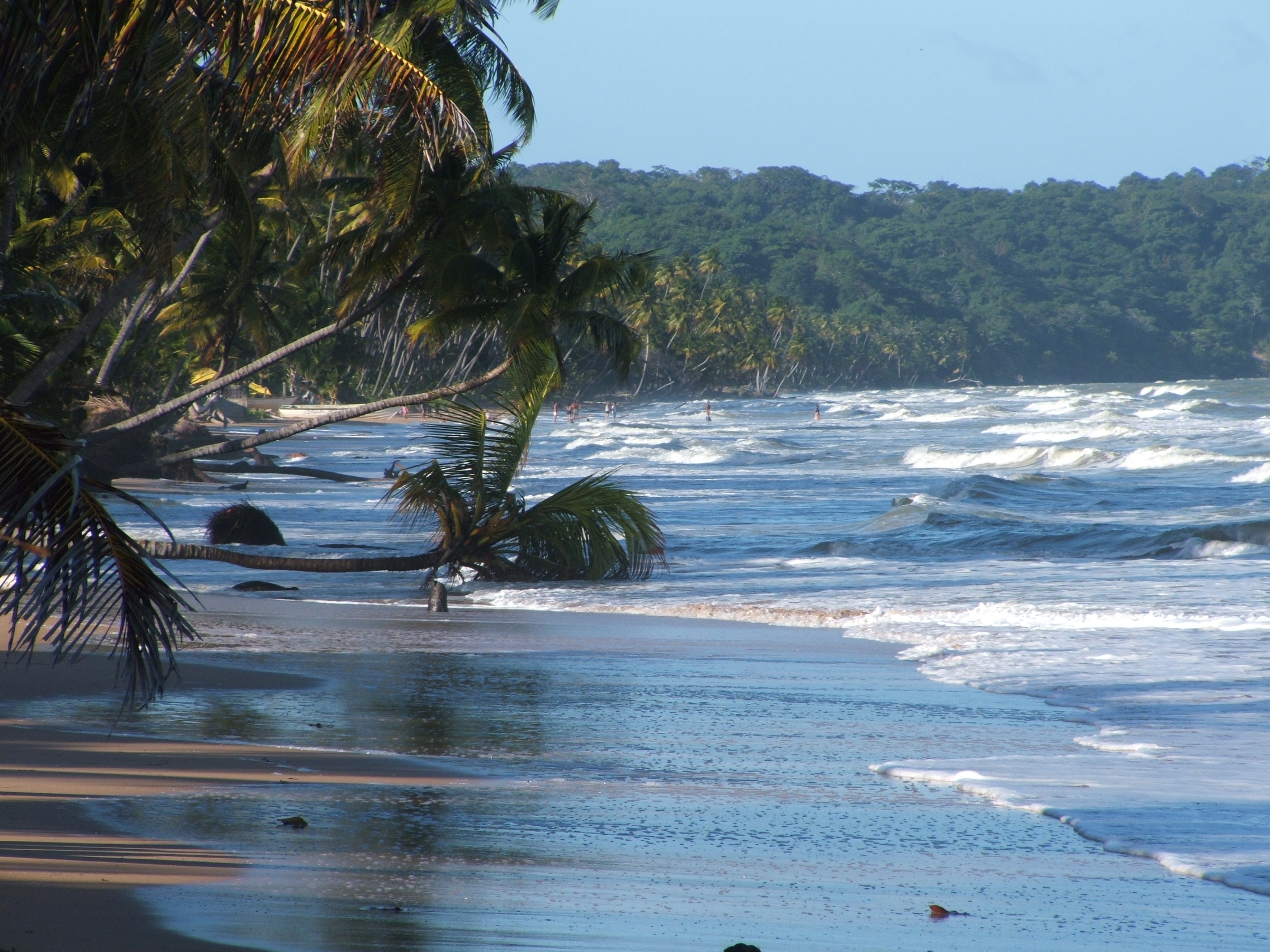 carta da parati trinidad,corpo d'acqua,natura,spiaggia,oceano,onda