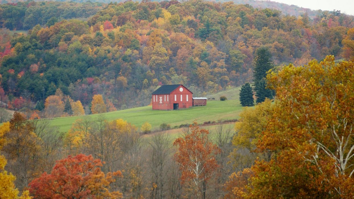 fondo de pantalla de ohio,hoja,naturaleza,granero,árbol,otoño