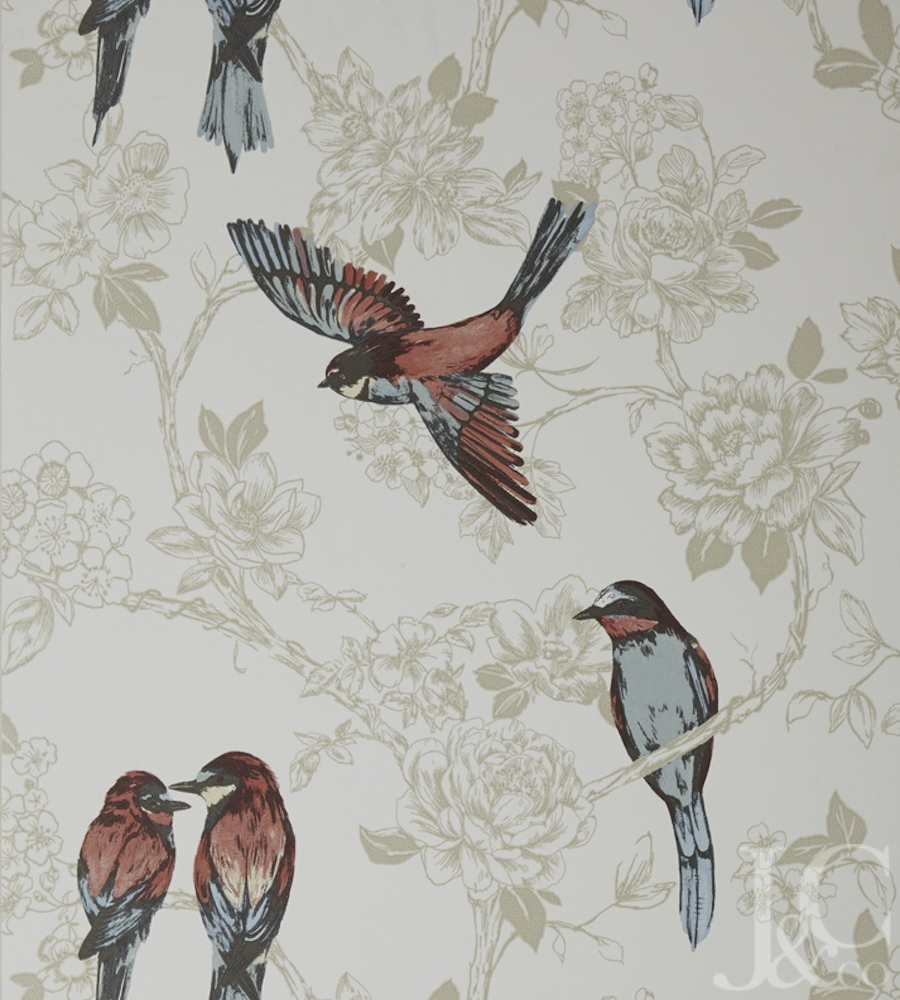 singvogel wallpaper,vogel,fink,illustration,hintergrund,hockender vogel