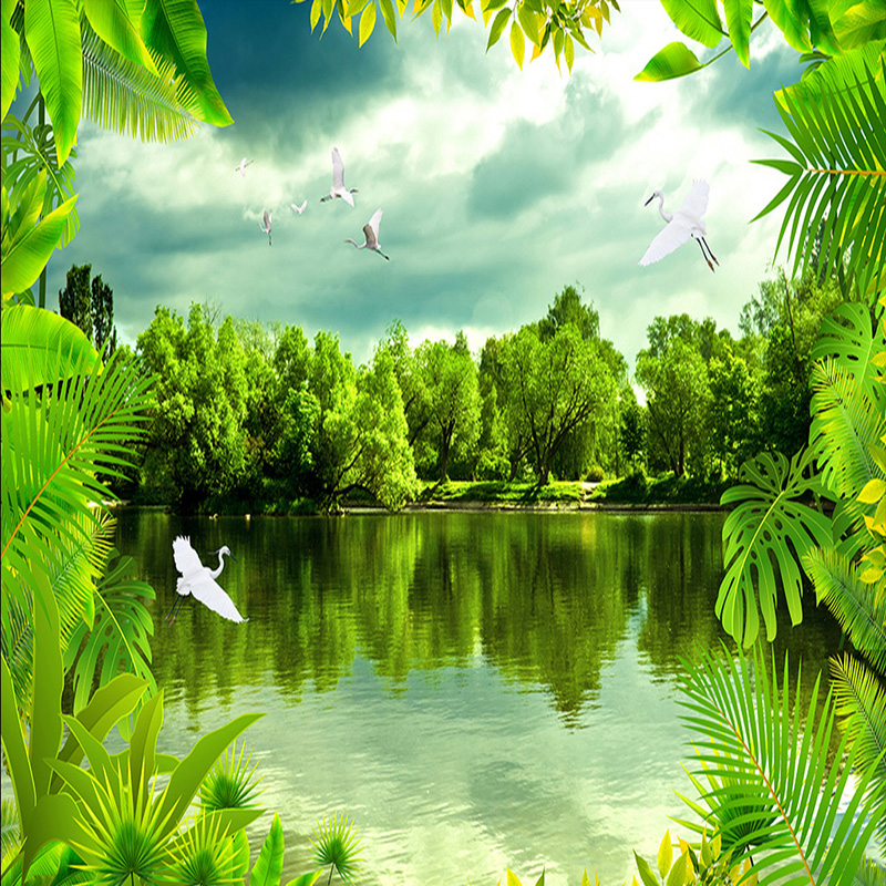 personalizar fondo de pantalla,paisaje natural,naturaleza,verde,recursos hídricos,reflexión