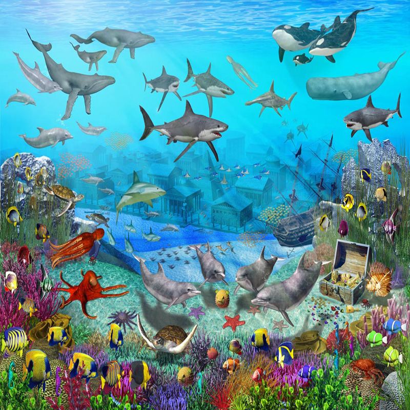 papier peint sur le thème des poissons,biologie marine,sous marin,poissons de récifs coralliens,poisson,récif de corail