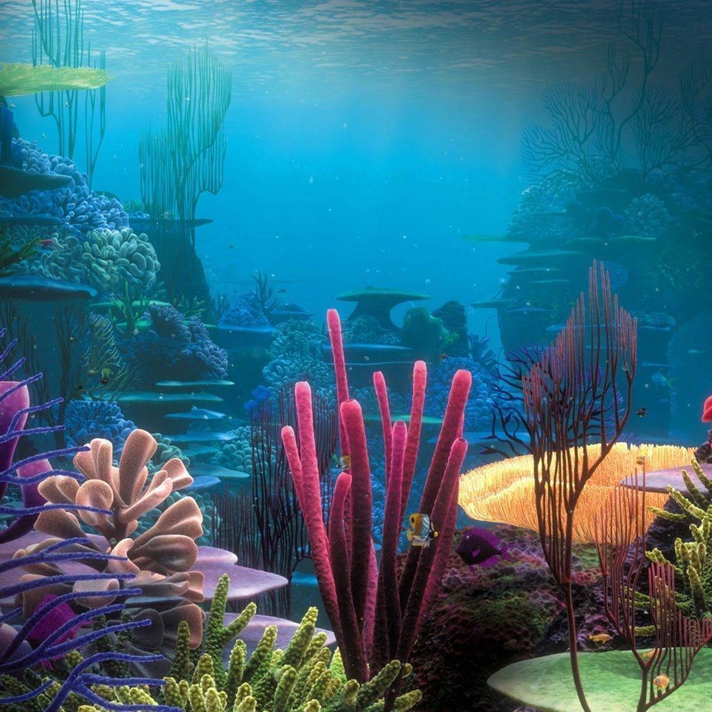ocean themed wallpaper,underwater,coral reef,nature,aquarium decor,natural environment