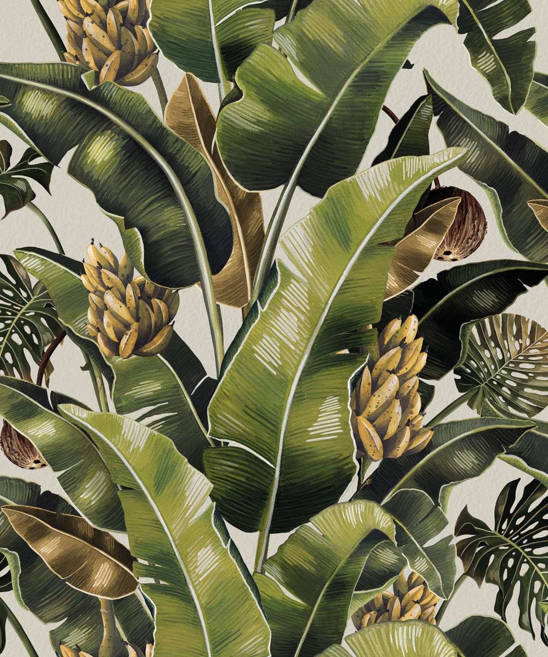 palm wallpaper uk,planta,hoja,flor,hoja de banana,planta floreciendo