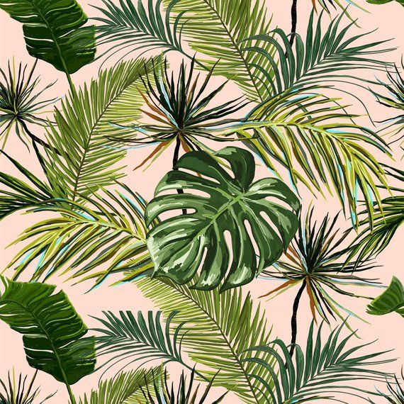 papier peint feuilles pour murs,feuille,plante,modèle,arbre,palmier