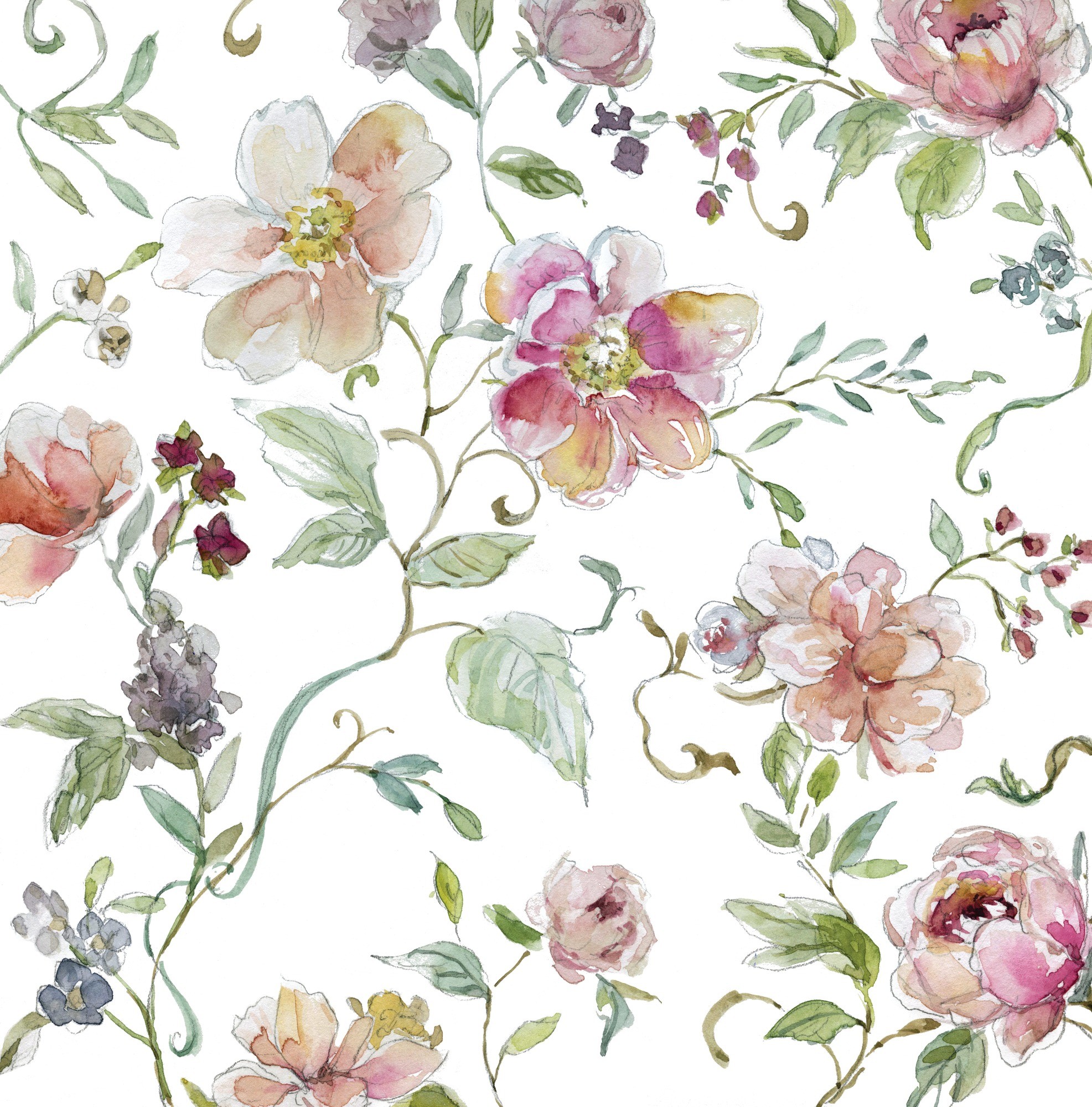 papier peint chinoiserie royaume uni,fleur,plante,clipart,art floral,rosa dumalis