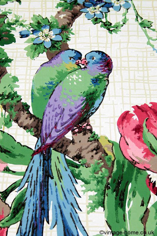 papier peint oiseau pour les murs vintage,oiseau,perroquet,peinture aquarelle,perruche,illustration