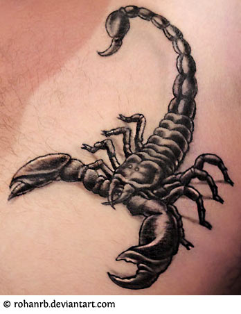 papier peint tato,scorpion,tatouage,griffe,invertébré,épaule