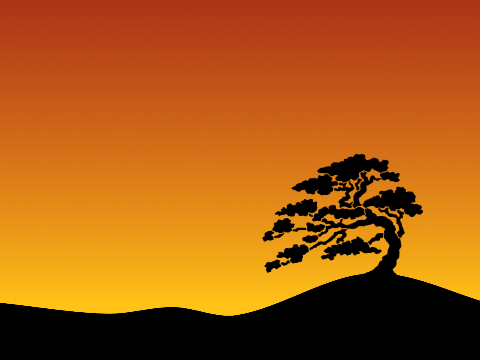 fond d'écran de diaporama photo,ciel,silhouette,arbre,paysage naturel,orange