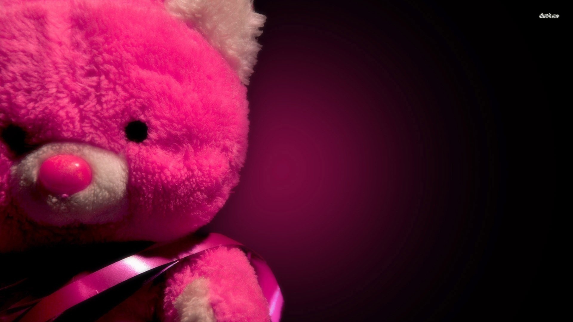 rosa bär tapete,teddybär,plüschtier,rosa,plüsch,spielzeug