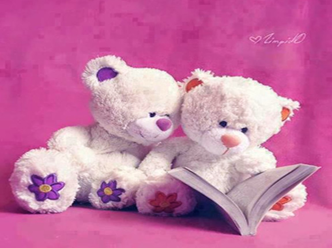 Gallery Sweet Love Couple Teddy Bear Photo Zone Beautiful - Cute