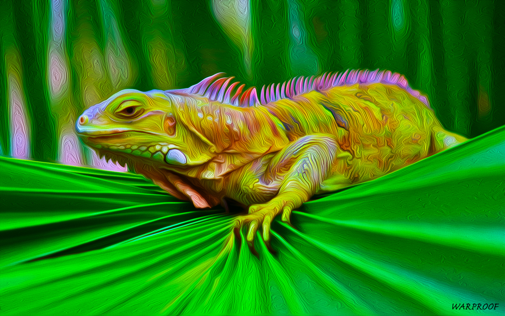 fondo de pantalla de iguana,verde,lagartija,reptil,iguana,iguana verde