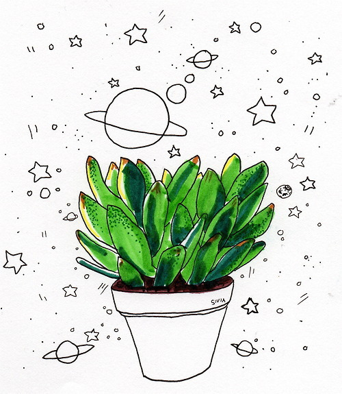 papier peint cactus tumblr,pot de fleur,plante,fleur,plante d'appartement,plante à fleurs