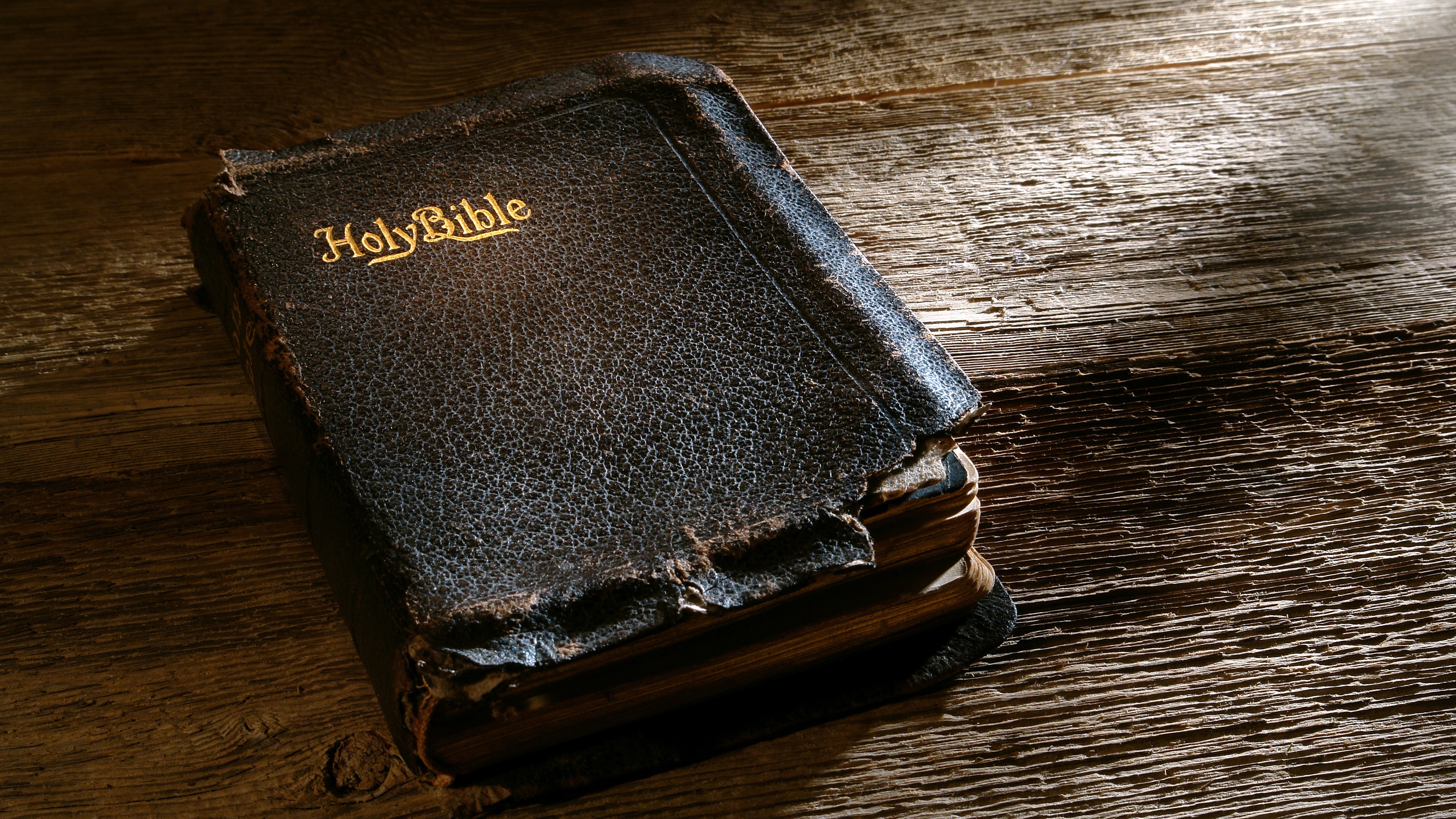 tapete biblia,brieftasche,leder