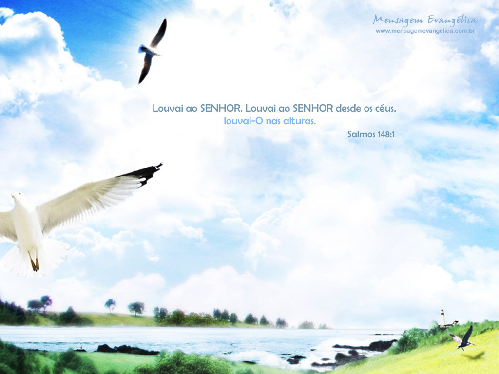 fondo de pantalla evangelico,cielo,pájaro,ala,ilustración,ave marina