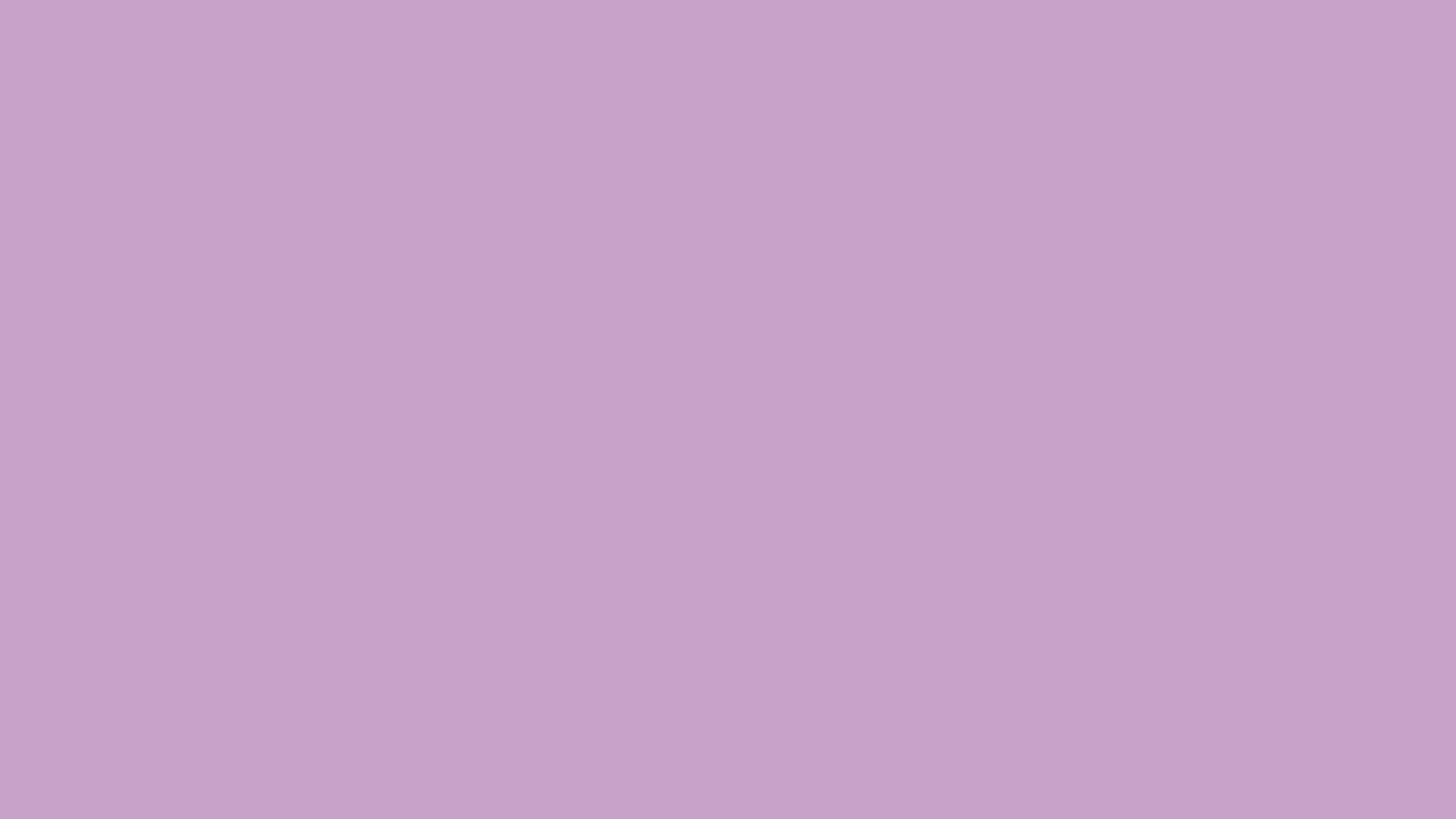 bordure de papier peint de couleur unie,rose,violet,violet,lilas,lavande
