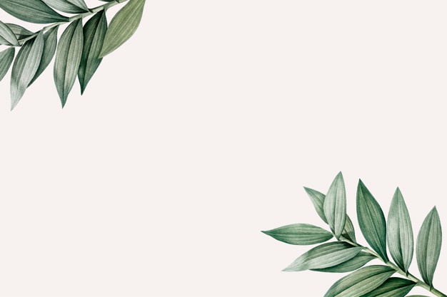 bordes de papel tapiz,hoja,verde,planta,árbol,ilustración