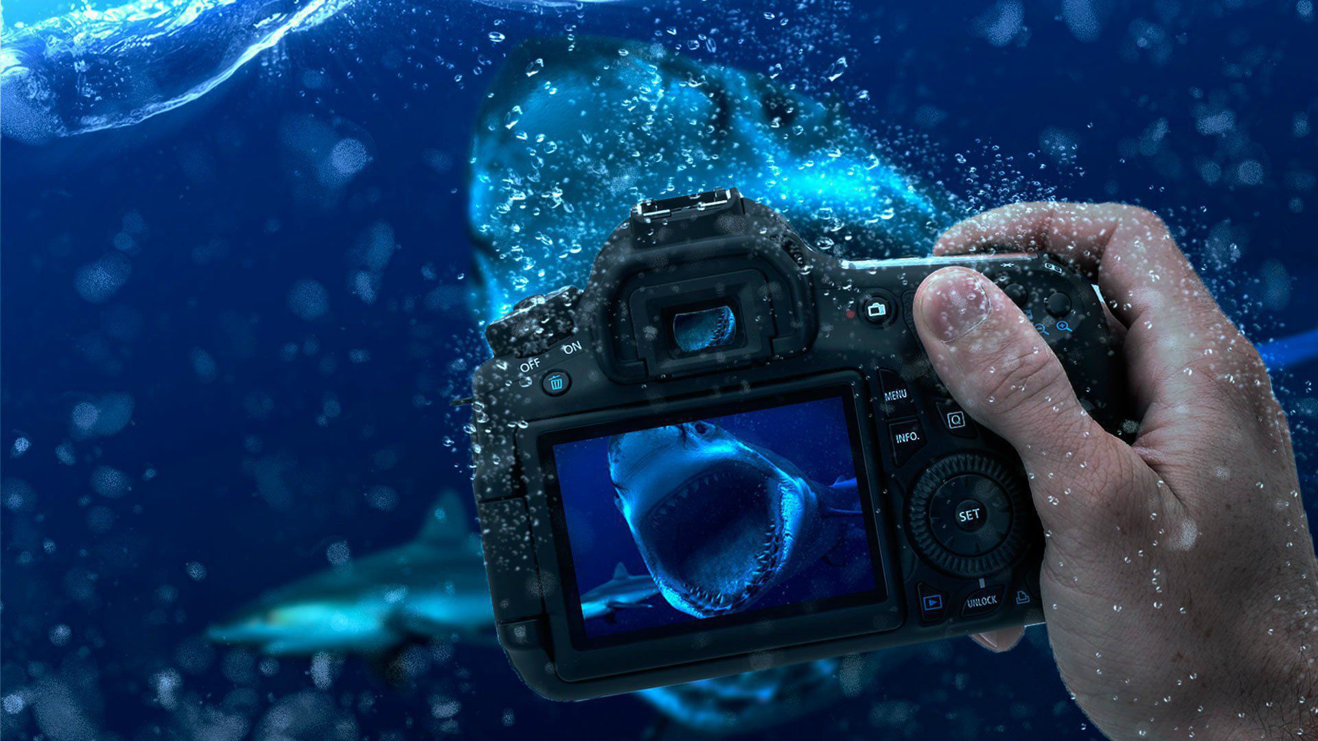 téléchargement gratuit de fond d'écran de caméra,photographier,sous marin,caméra,appareil photo numérique,la photographie