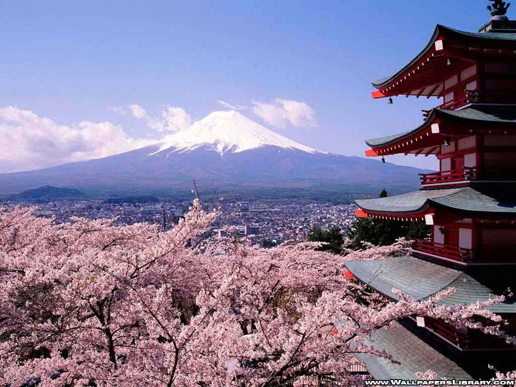 bp 바탕 화면,일본 건축,꽃,탑,벚꽃,꽃