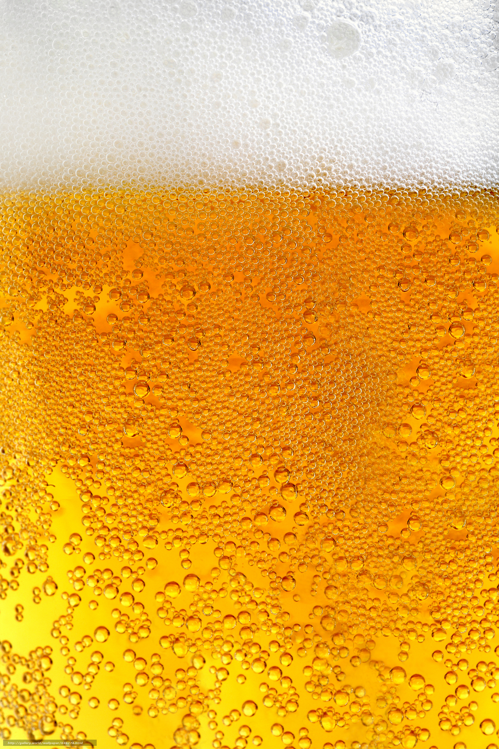tapete cerveja,gelb,bier,getränk,lagerbier,bierglas