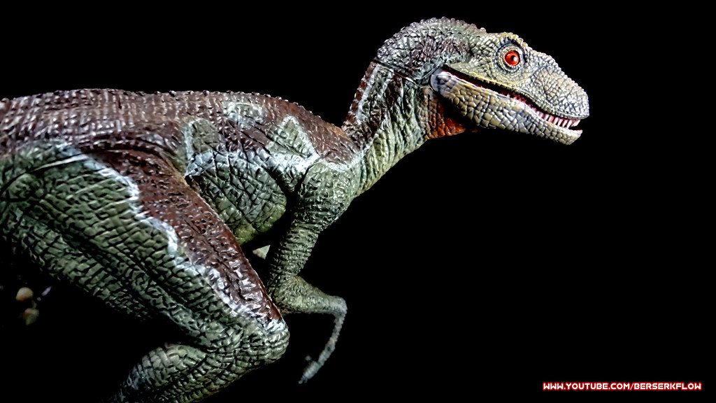 velociraptor tapete,dinosaurier,landtier,velociraptor,tyrannosaurus,reptil