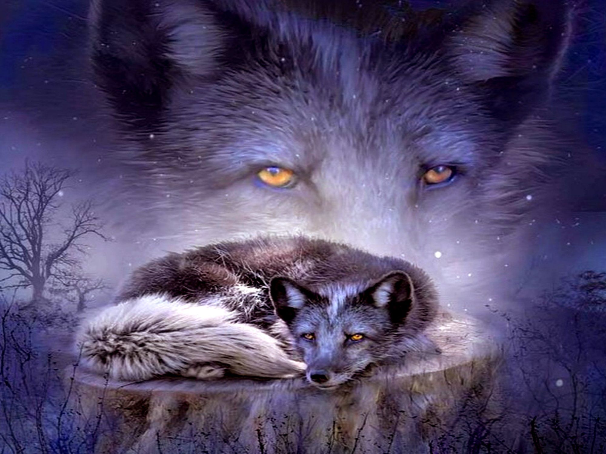 Wolf And Fox Spirit- WallpaperUse