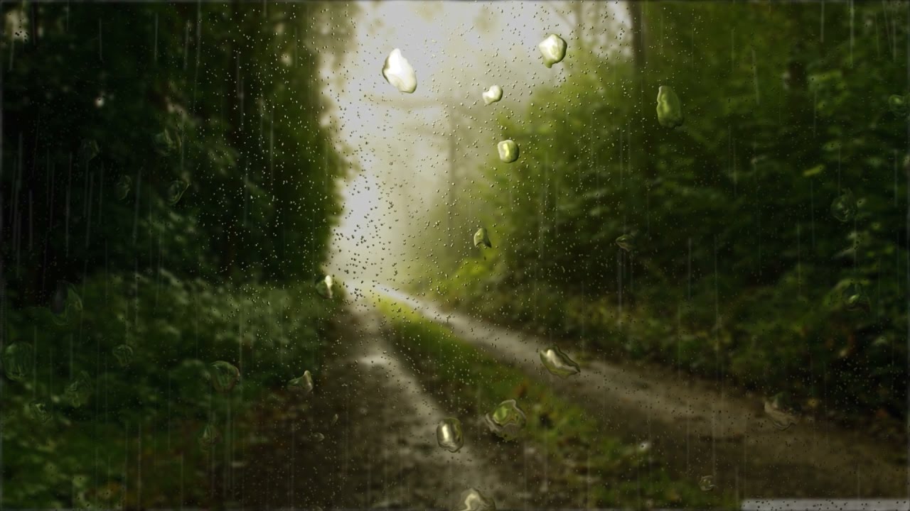 papier peint pluie,vert,la nature,lumière,route,rue