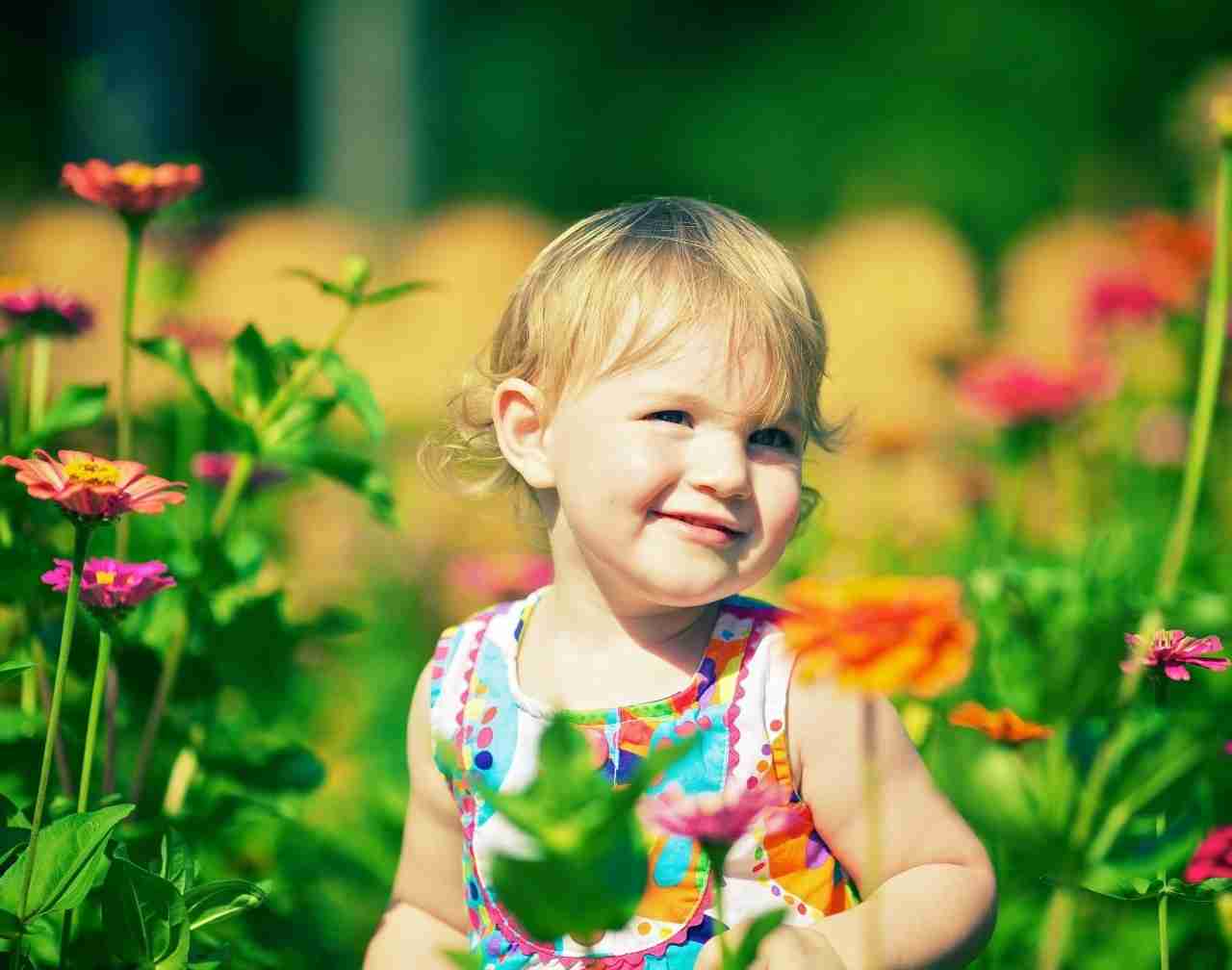 Indian Cute Baby Hd Wallpaper child people In Nature toddler flower 