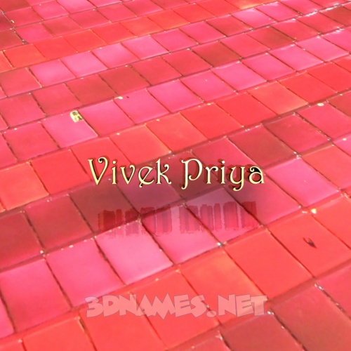 vivek name wallpaper,rosado,rojo,piso,línea,suelo