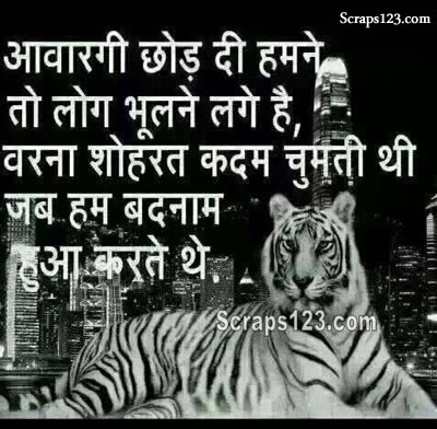 pandit name wallpaper,tiger,bengalischer tiger,felidae,tierwelt,sibirischer tiger