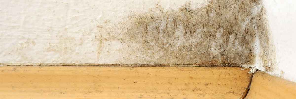 soni name wallpaper,wand,beige,fußboden,holz,beton