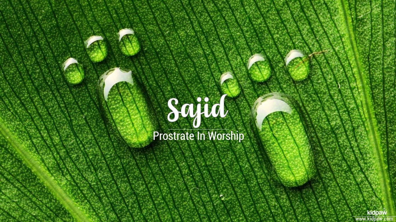 sajid-wallpaper-sumera-name-meaning-in-urdu-wallpaperuse