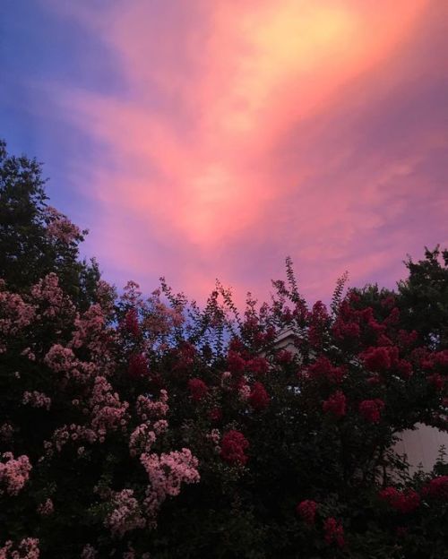naturaleza fondos de pantalla tumblr,cielo,naturaleza,rosado,nube,rojo
