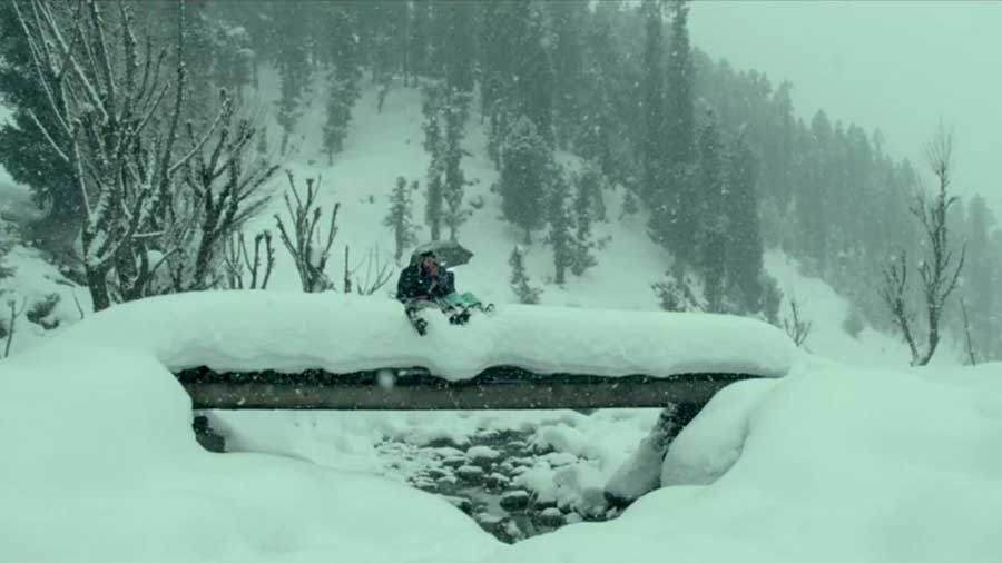 fondo de pantalla de nombre haider,nieve,invierno,congelación,árbol,escarcha