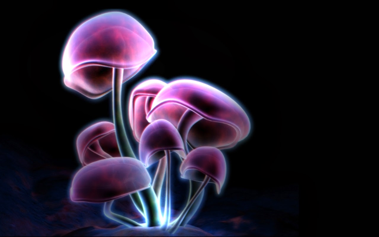 Lilac Colour Mushroom Wallpaper- WallpaperUse