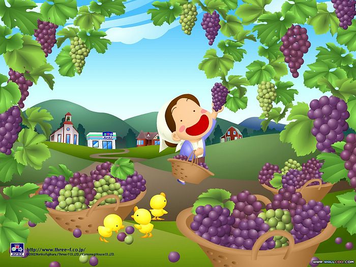 3f fondo de pantalla,uva,alimentos naturales,planta,fruta,fruta sin semillas