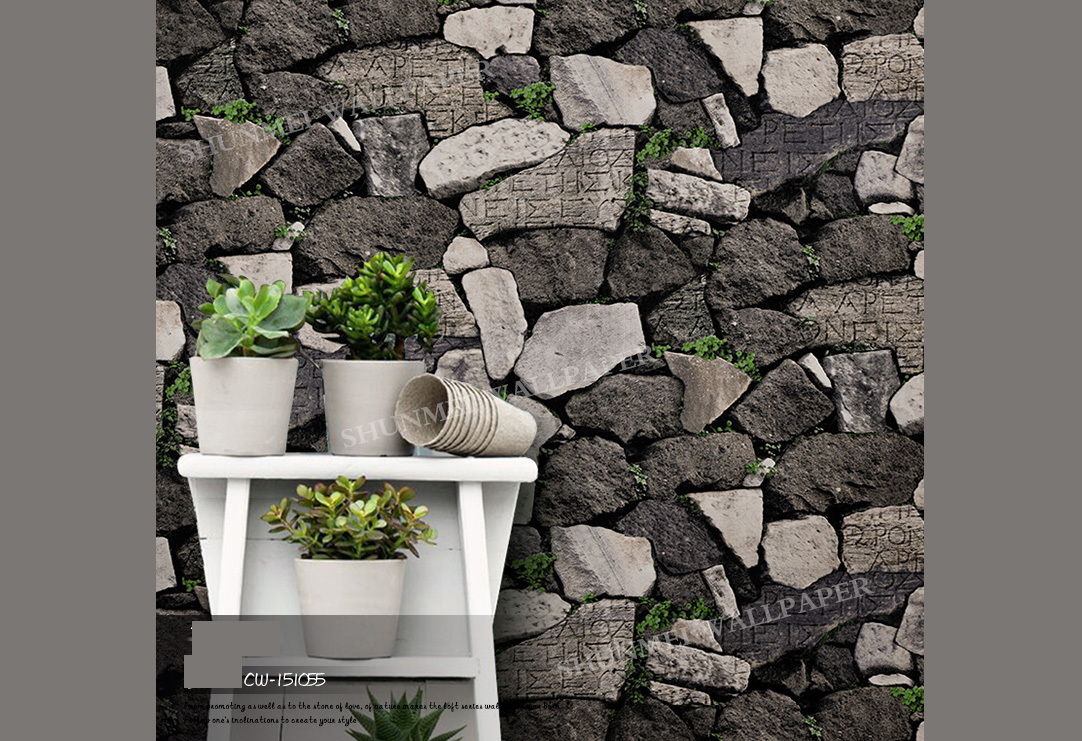 papel tapiz de aspecto 3d,pared,maceta,pared de piedra,rock,planta de casa