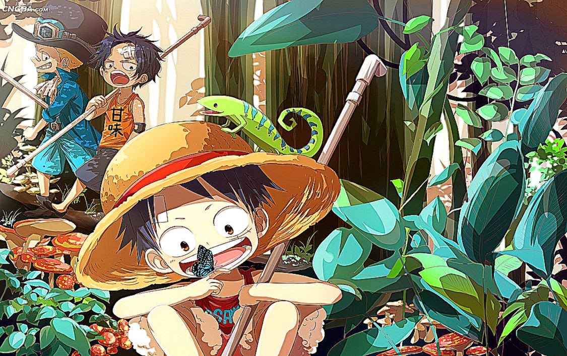 Luffy Ace Sabo Wallpaper Hd Cartone Animato Cartone Animato Anime Illustrazione Animazione Wallpaperuse