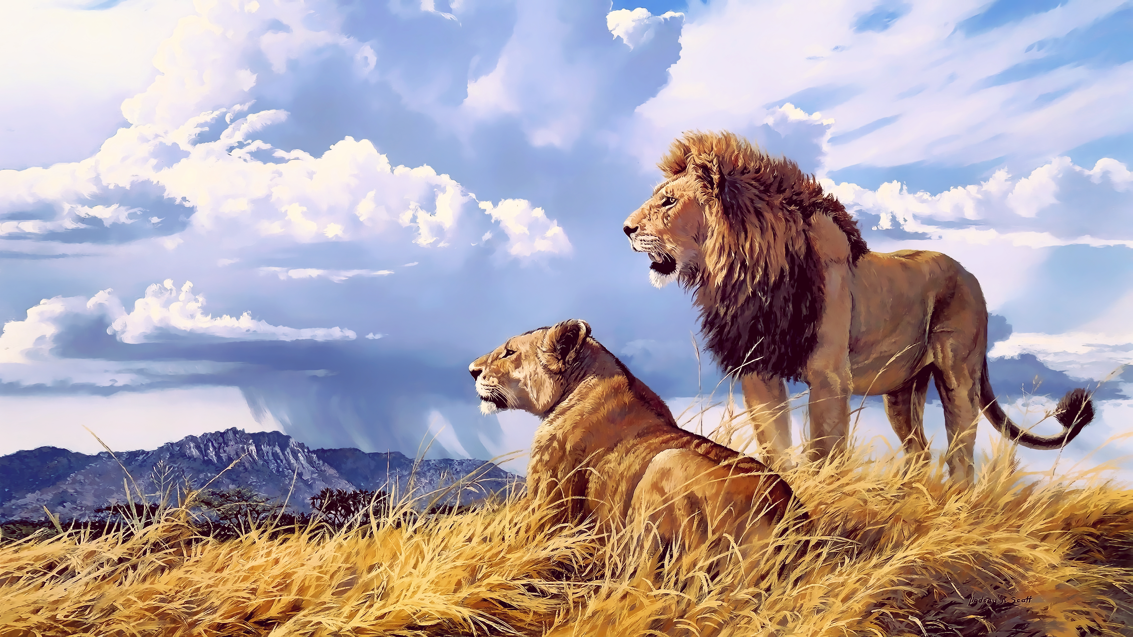 ライオンの壁紙4k,野生動物,ライオン,マサイライオン,ネコ科,陸生動物