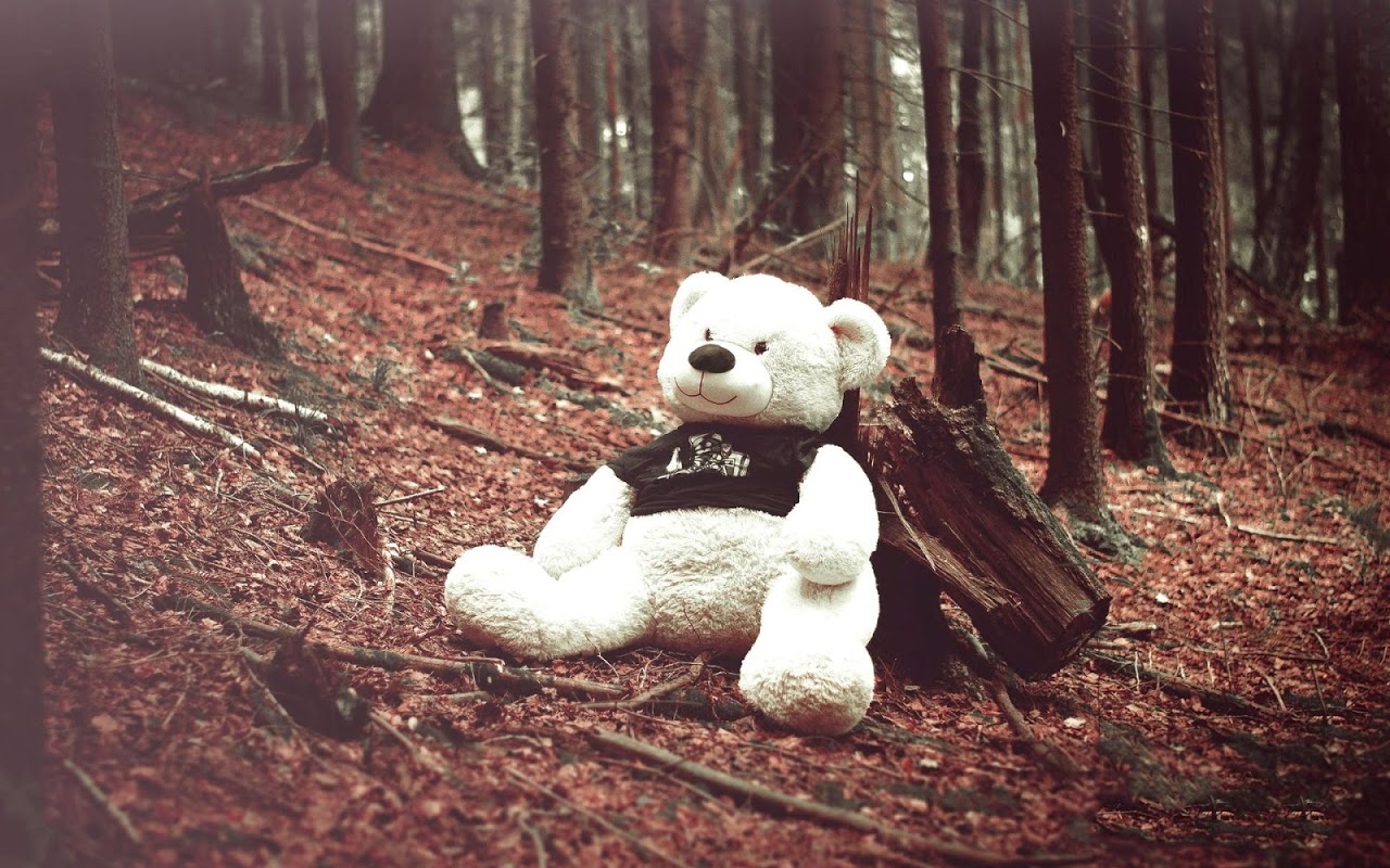 fondo de pantalla beruang,oso de peluche,oso,juguete,peluche,árbol
