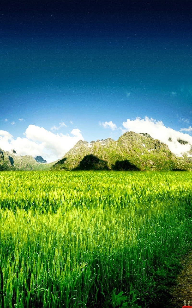 壁紙samsung terbaru,自然の風景,自然,草原,空,緑