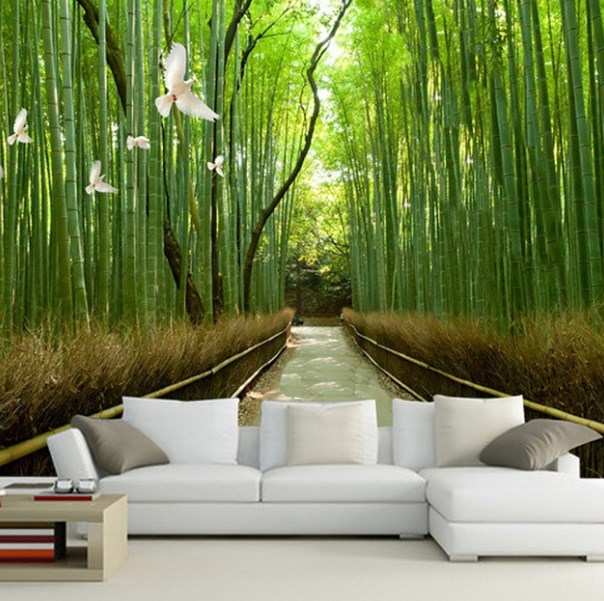 semua wallpaper,grün,natürliche landschaft,bambus,natur,hintergrund