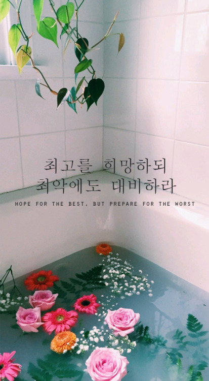 papier peint coréen tumblr,rose,chambre,plante,police de caractère,fleur