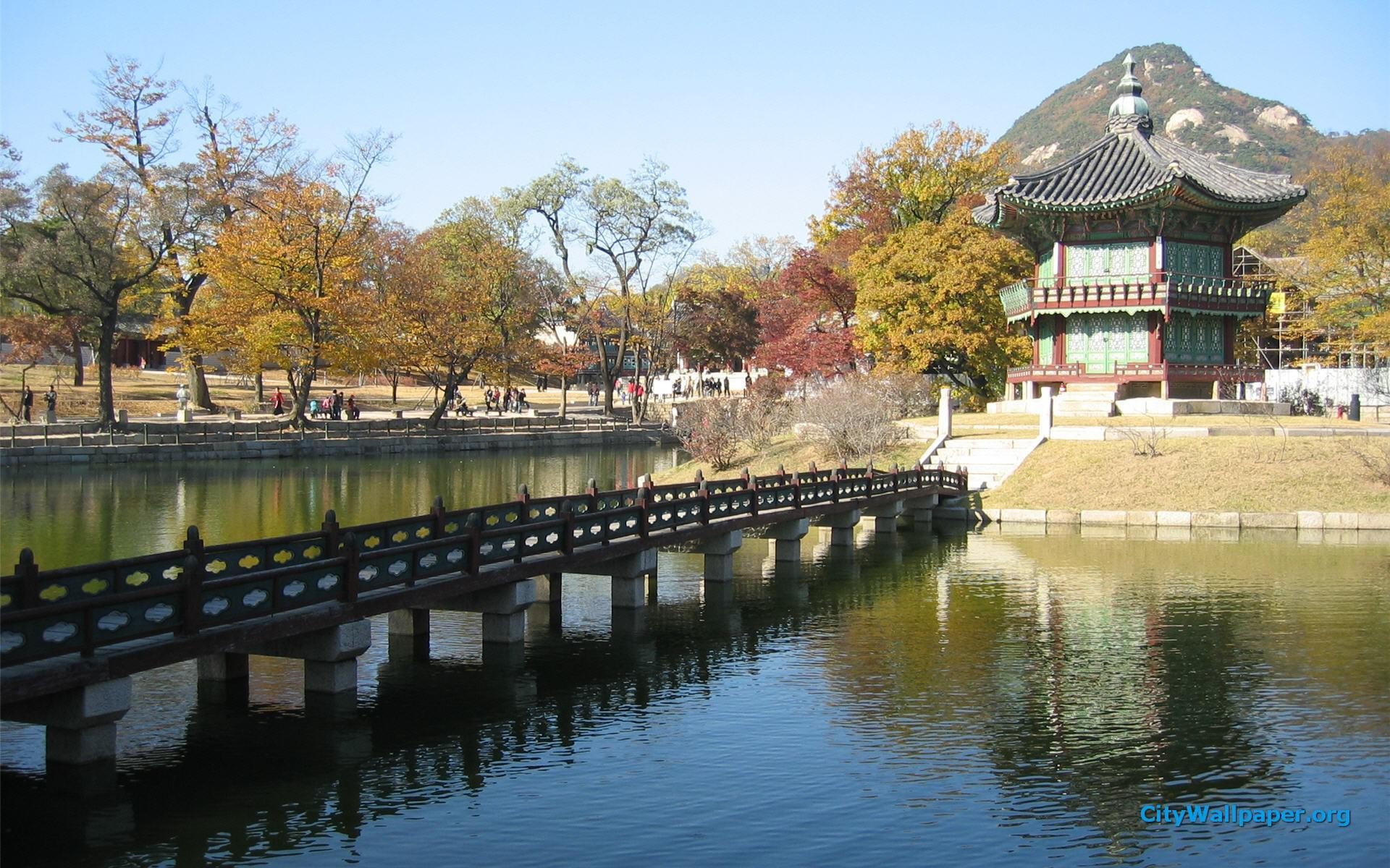 한국 벽지 hd,수로,못,수영장을 반영,건축물,반사