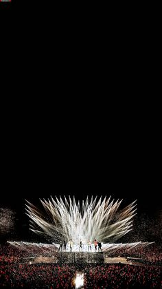 fondo de pantalla del artista coreano,pluma,oscuridad,cielo,fotografía de naturaleza muerta,césped