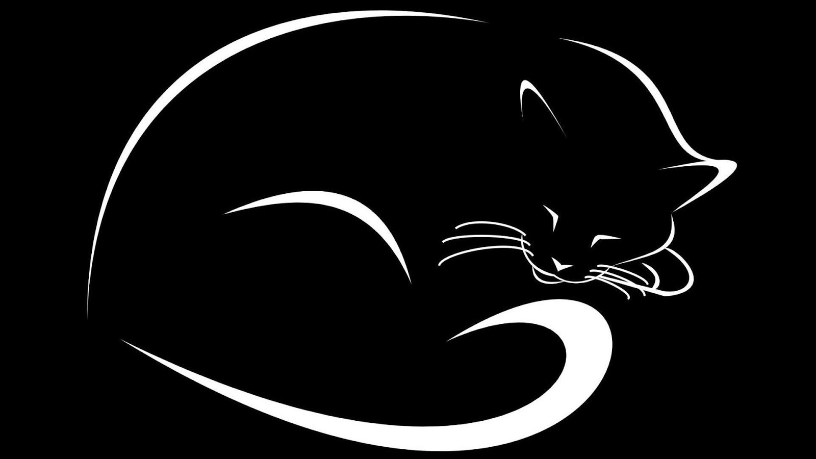 siyah beyaz壁紙,ネコ,黒猫,中型から中型の猫,ひげ,ネコ科