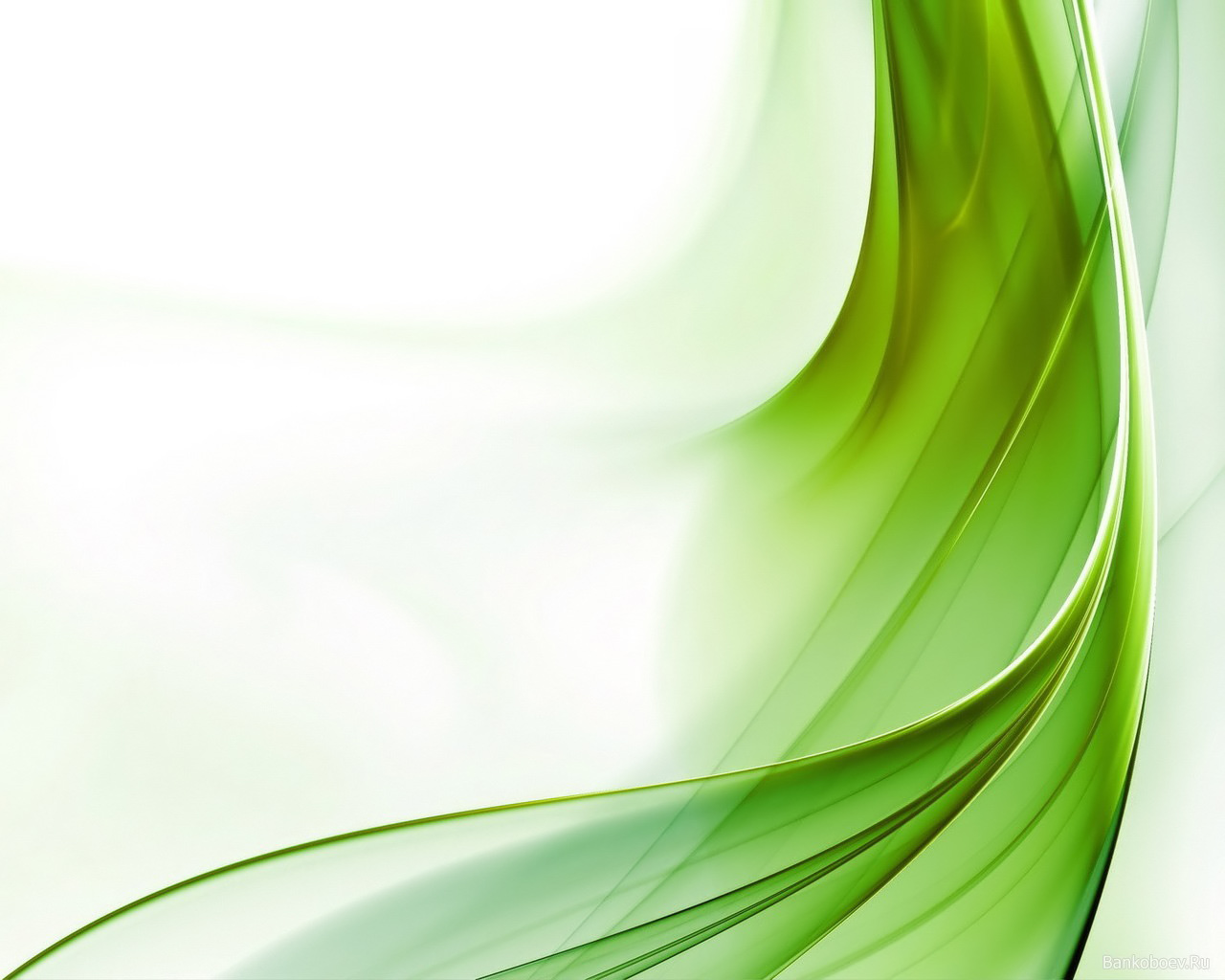 green wallpaper download,green,leaf,water,grass,plant